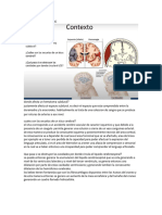 Oral Irrigacion Del SNCfinal3