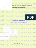 Apostila Calc Numerico 2008