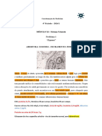 Tuts 1 Renal Vinicius