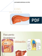 Cirrosis Heptica