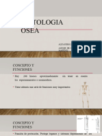 Histologiaosea 200413185915