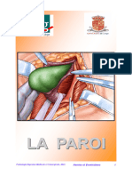 Paroi Abdominale