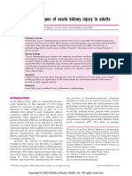 Subphenotypes of Acute Kidney Injury 2022