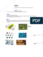 MICROORGANISMOS Prueba Ciencias