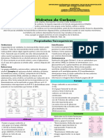 Hidratos de Carbono-1