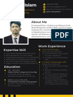 My Professional CV