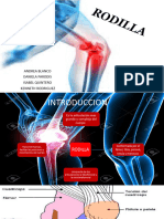 Rodilla