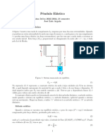 Pêndulo Elástico, Protocolo Da Experiência