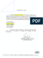 Certificado EPP - Guante de Cuero Soldador.