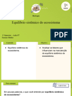 Aula 7 - Equilíbrio Sistêmico Do Ecossistema