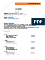 CV DANNY PDF - 240304 - 100301-Fusionado