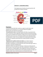 Unidad 1 Bioquimica