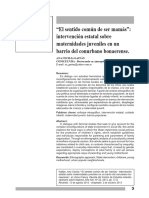 Gaytan - "El Sentido Común de Ser Mamás" - Intervención Estatal Sobre Maternidades Juveniles en Un Barrio Del Conurbano Bonaerense