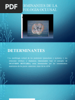 Determinantes de La Morfologia Oclusal