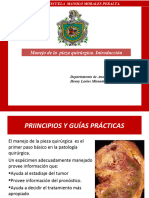 Manejo de La Pieza Quirúrgica - Introducción