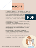 Dermatosis Nic y Noc