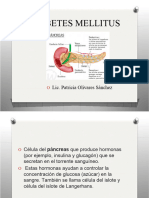 Diabetes Mellitus: Lic. Patricia Olivares Sánchez