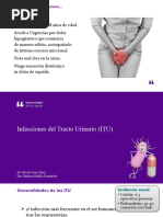 Infecciones Urinarias 2024