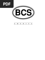 BCSengine