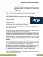 23 Processo de Coordenação e Subordinação