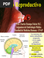 Ciclo Reproductivo