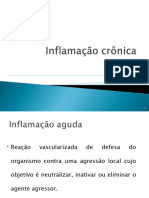 Aula 04 - Inflamação Crônica