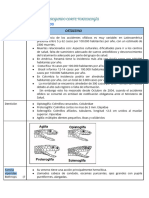 Segundo Corte Toxicología