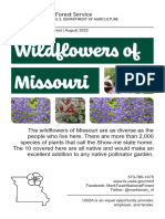 8 Page Wildflowers Missouri