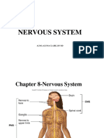 Nervous System