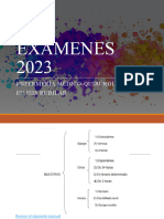 Examenes 2019