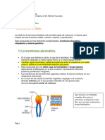 Biología 2do Año