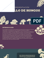 Ladrillos de Hongos