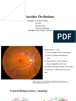 Vascular Occlusions: Presenters: DR Adithi K Murthy