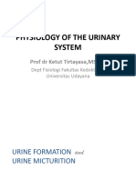 Lecture 3. Physiology of Urinary System