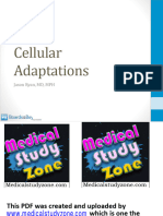 Pathology Slides 2023 (B&B) (Medicalstudyzone - Com)