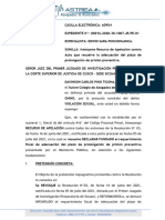 Apelacion de Auto de Adecuación Del Plazo de Prolongacion