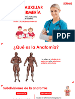 Planos Anatómicos