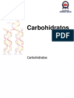 07 Estructura Carbohidratos 2024