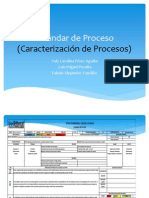 Estándar de Proceso