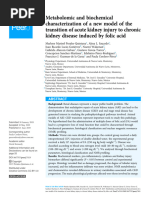 FA - Metabolomic and Biochemical Characterization of A New Model of The Transition of Acute Kidney Injury To Chronic Kidney Disease Induced by Folic Acid