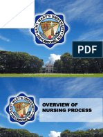 Overview of Nursing Process