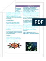 Cuadro Comparativo Virus y Bacterias