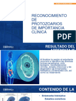 SEMANA 2-P2-AMEBAS INTESTINALES - Lectura