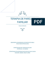 Terapia Familiar y de Pareja