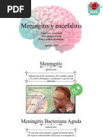 Meningitisyencefalitis 180809222519