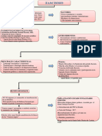 Mapa Conceptual Del Fascismo 2