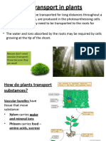 IGCSE Biology Topic 8 Transport in Plants Presentation