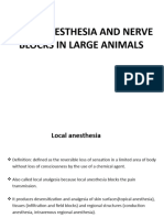 Local Anesthesia in Large Animals