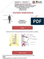 Plexos Nerviosos