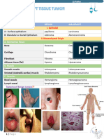 Soft Tissue Tumor